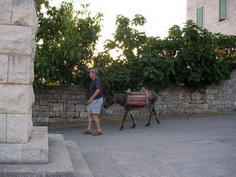 moyen de transport